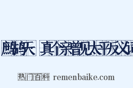 鹧鸪天·真个亲曾见太平反义词是什么意思的图片